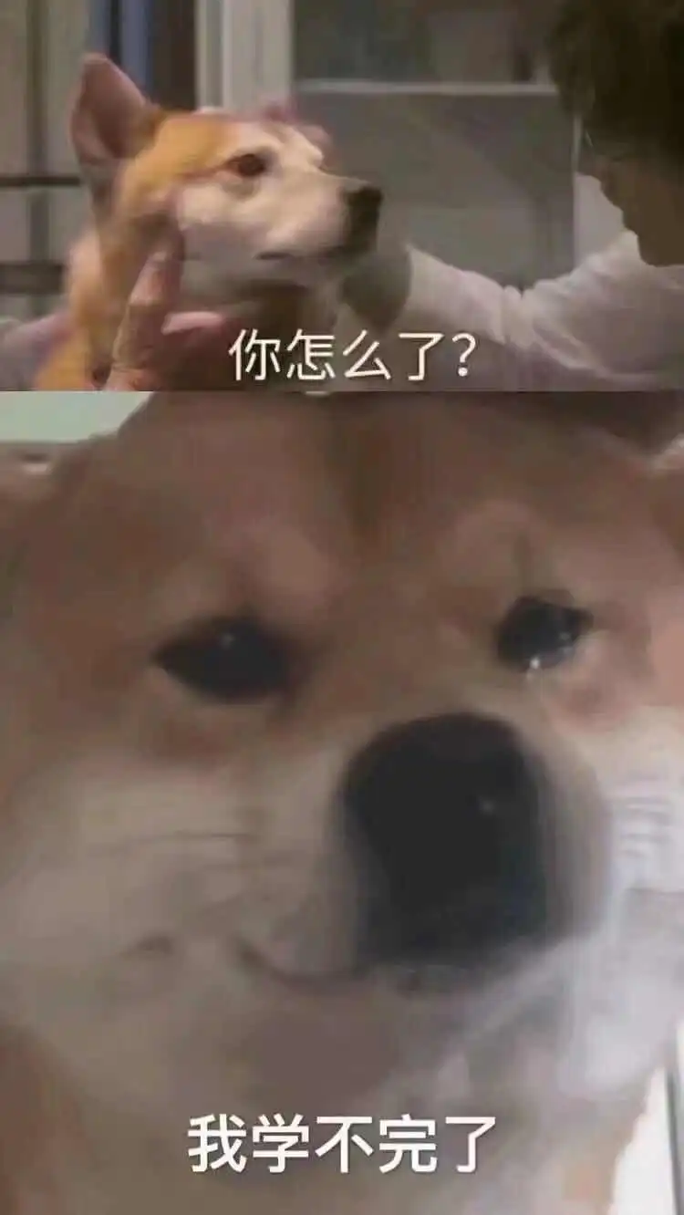  你怎么了我学不完了流泪狗子学不完狗子流泪怎么表情