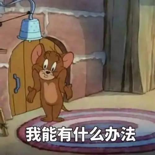 成绩100分表情包猫和老