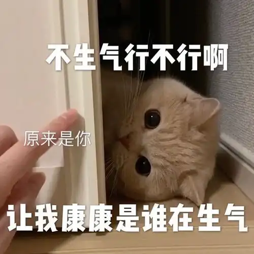  沙雕表情包第八百七十五期