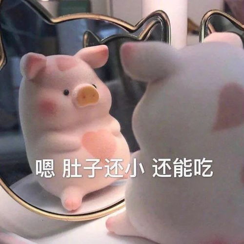  可爱猪猪表情包