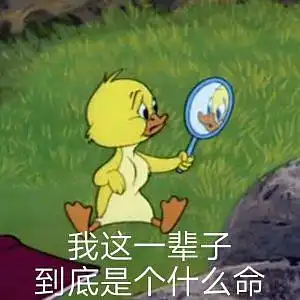  裸辞后的流水