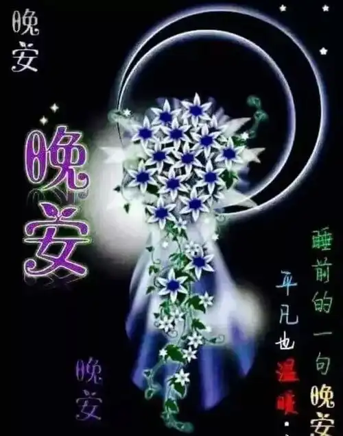  2020晚上好问候动画表情包晚安问候语温馨语录