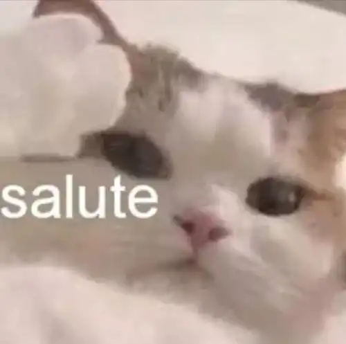 萌宠表情包我都闭眼了,你怎么还不亲我鸭  萌宠表情包我都闭眼了,你怎么还不亲我鸭