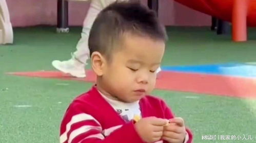  幼儿园萌娃吃橘子酸出表情包,网友隔着屏幕都觉得酸