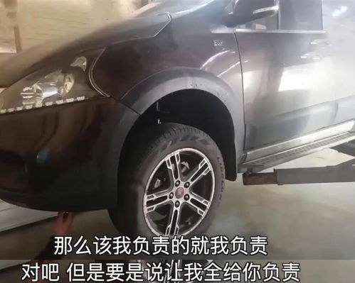 二哈车库大战流浪猫并顺嘴拆了两台车车主崩溃
