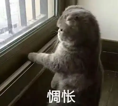  我第一次吃了兔子