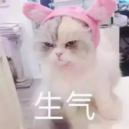  疯狂暗示处对象表情包小妹妹你很有前途要不要和我搞对象