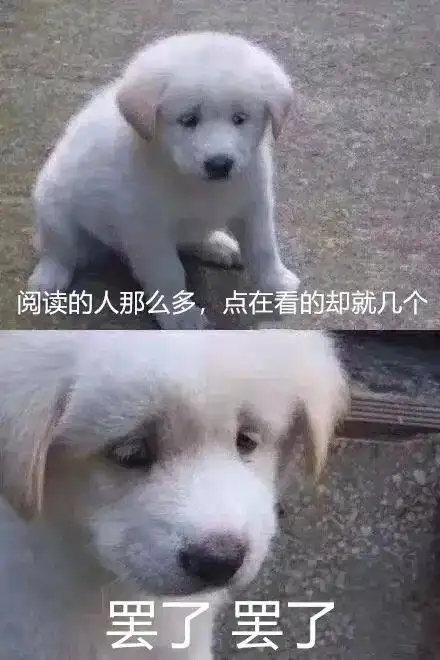  东北人有多自来熟哈哈哈哈哈哈哈哈哈哈