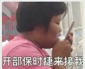 如何评价丛林之家的波波  如何评价丛林之家的波波