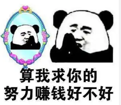 算我求你的表情包猫算什