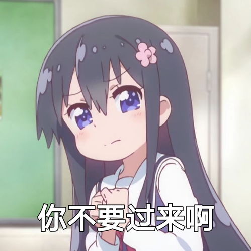  天使降临到我身边表情包第11包