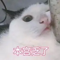  猫咪撒娇表情包微信头像图片大全