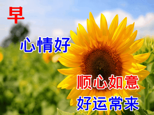  美好的爱情输给了异地恋最终逃不过时间的煎熬