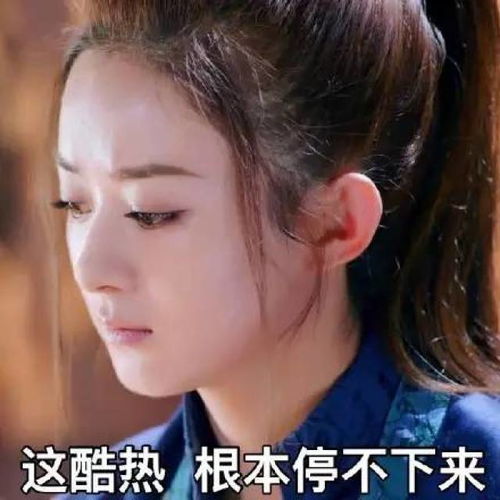  纳兰东冬楚乔燃爆红川城,社会我玥哥,追妻路漫漫