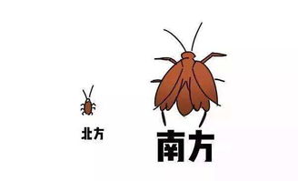  小寒将至,各地开启降雪模式