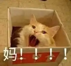  年轻人,你需要的是运动,而不是运动车型