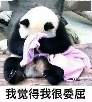  不同星座对待理发的态度说对了吗