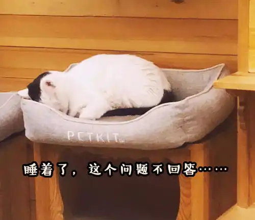 奶牛猫都是什么来着社会你球哥,喵狠表情多