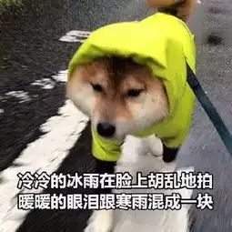 狗头表情包原型七夕
