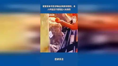 猩猩表情包伸手
