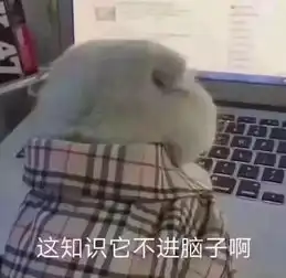  婚前你是宝,婚后你是草,钟丽缇会是下一个洪欣吗