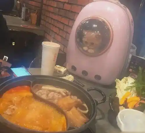  gif搞笑趣图为什么为什么把我关起来,我也要吃