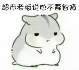  灰白仓鼠的表情包来吧