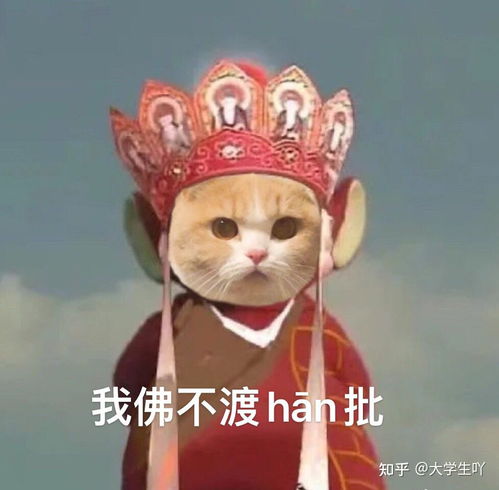  天线宝宝唐僧猫咪萌宠表情包
