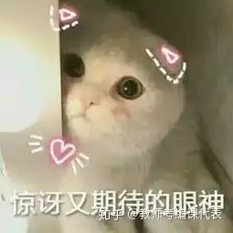  教师资格证考试怎样选择学段和科目,这样做准没错
