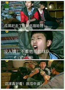  王境泽表情包下载王境泽表情包gif动图自动生成制作器软件下载地址v1.0嗨客苹果软件站