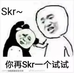  你这skr什么意思