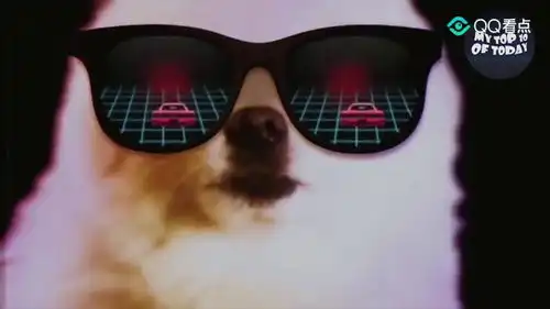  柴犬喝完水后,露出了魔性的笑容,被治愈了