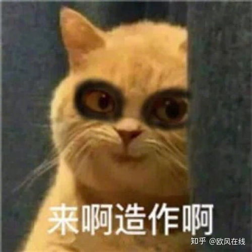  安利帖了解一下dele考试是什么样的