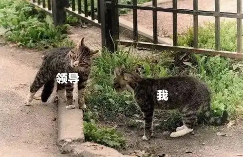  做木材,有谁活的不像一场炼狱2018上半年的我,太形象了,哈哈
