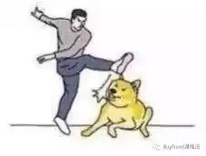  快救救我的包,它得了公主病