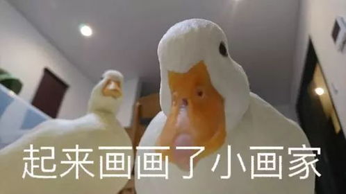  逆生长冻龄女神天气预报女主持23年来容颜不老