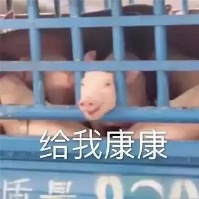  吃瓜表情包合集姐妹出来吃瓜