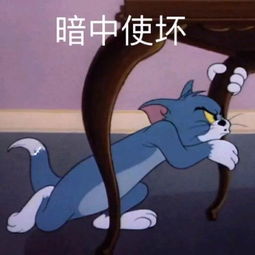  各种有趣的斗图表情包呀