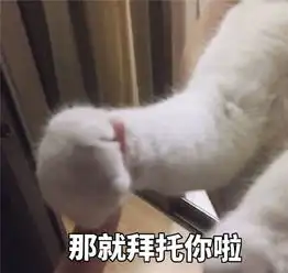  沙雕猫咪表情包