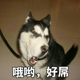  世界上什么最恶心