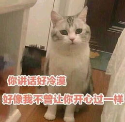  超皮的聊天表情你讲话好冷漠,好像我不曾让你开心过一样