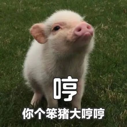  七夕避雷,说说那些年最让女生反感的礼物