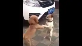  假面骑士的沙雕表情包ω