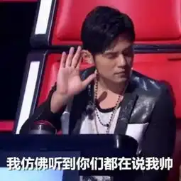 杰伦粉丝表情包游戏