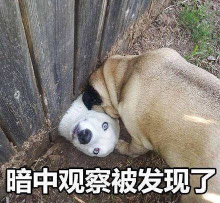  wewantu听见你的声音电台志愿者召集令