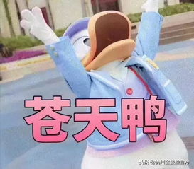  对不起月薪没有8千的杭州人千万不要看真实得让人落泪