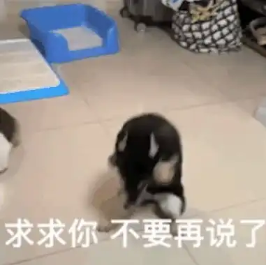 狗头表情包原型多喝热水