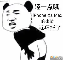  轻一点哦iphonexsmax的事情就拜托了表情包请问我的钱是大风刮来的吗图片下载乐游网游戏下载