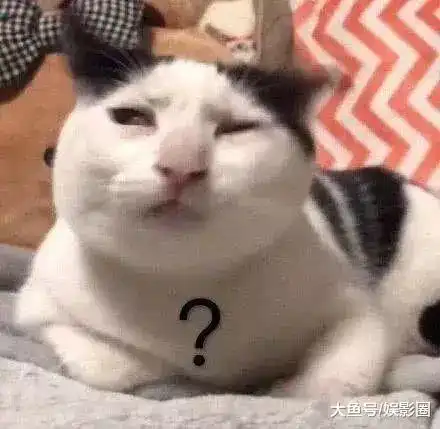 算我求你的表情包猫一般