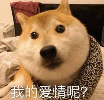  520送束现金花可能就凉凉了